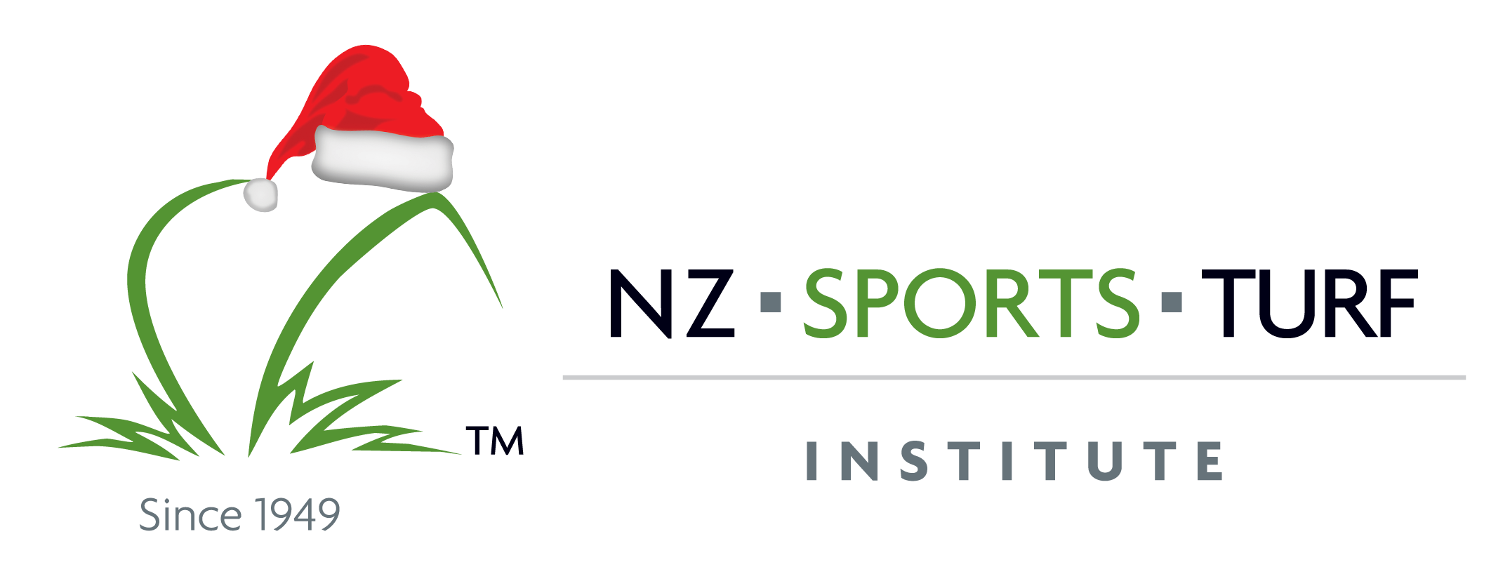 NZSTI logo with Santa hat on the grass kiwi